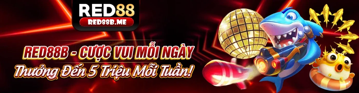 Cam kết của lc79b về trải nghiệm người dùng